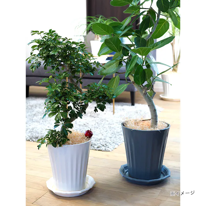 グロスポット 8号 ホワイト