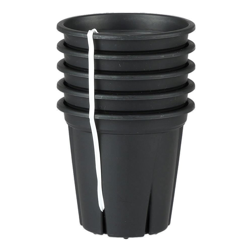 根っこつよし ブラック 3号 5個セット品