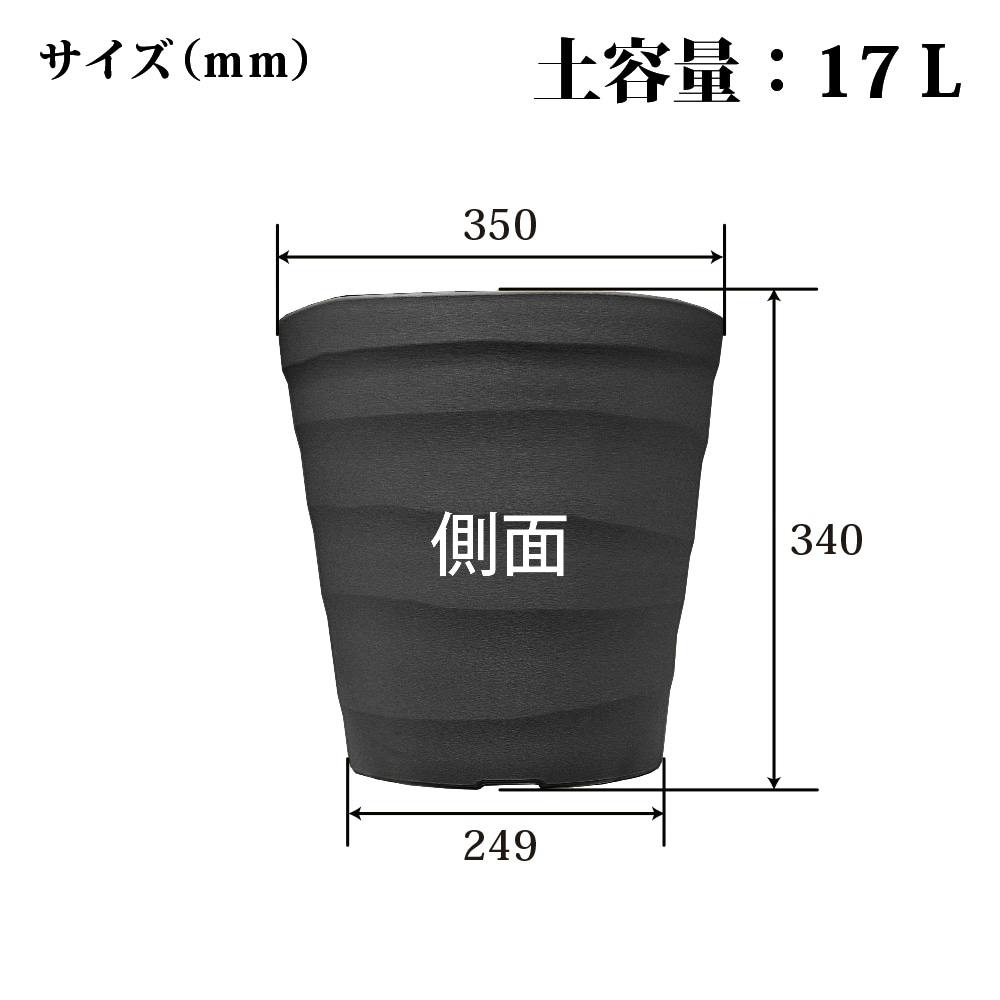 ヤ*ト様 耐寒性睡蓮 50品種セット 02-0085-47-b-01.jpg