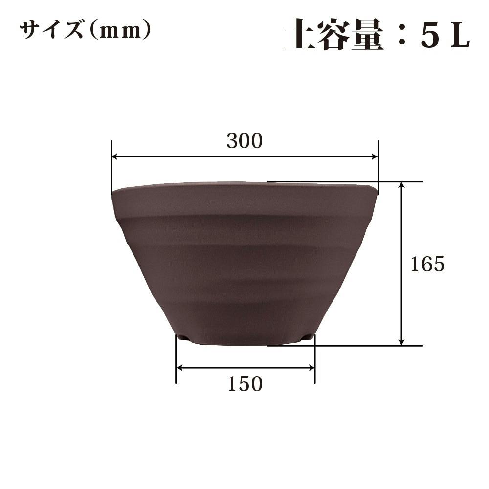 Paragon パラゴン　ツリー　オブ　カシミール　中皿皿　6枚セット　9_22 Paragon パラゴンツリーオブカシミール中皿皿6枚セット9_22-Nikon