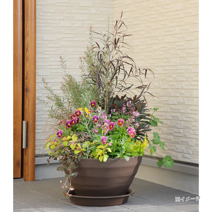 クラフトボール 24型 ダークブラウン