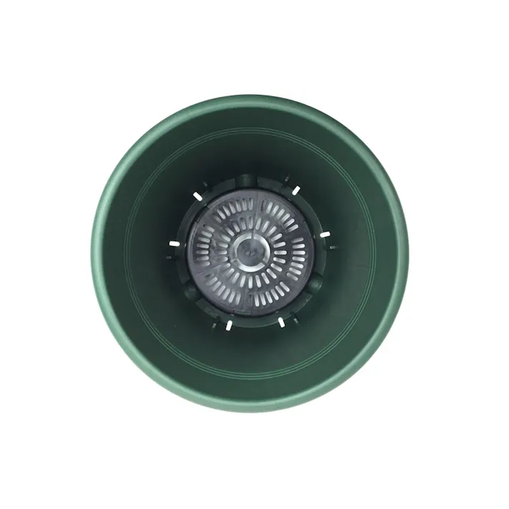 バラ鉢 8号 グリーン