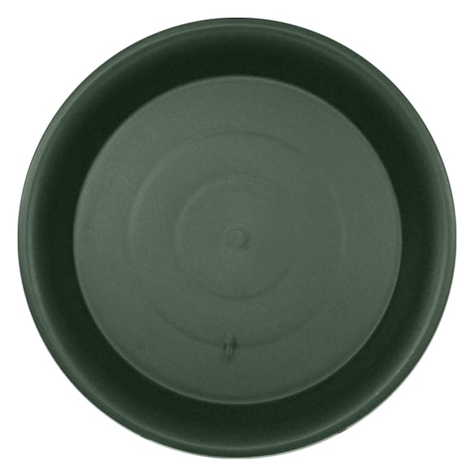 ロゼア鉢皿 180型 グリーン