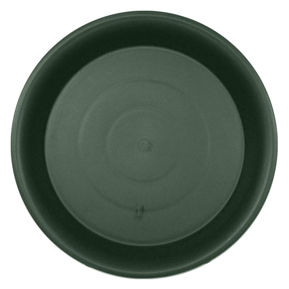 ロゼア鉢皿 380型 グリーン | 鉢・プランター・花台・温室 通販