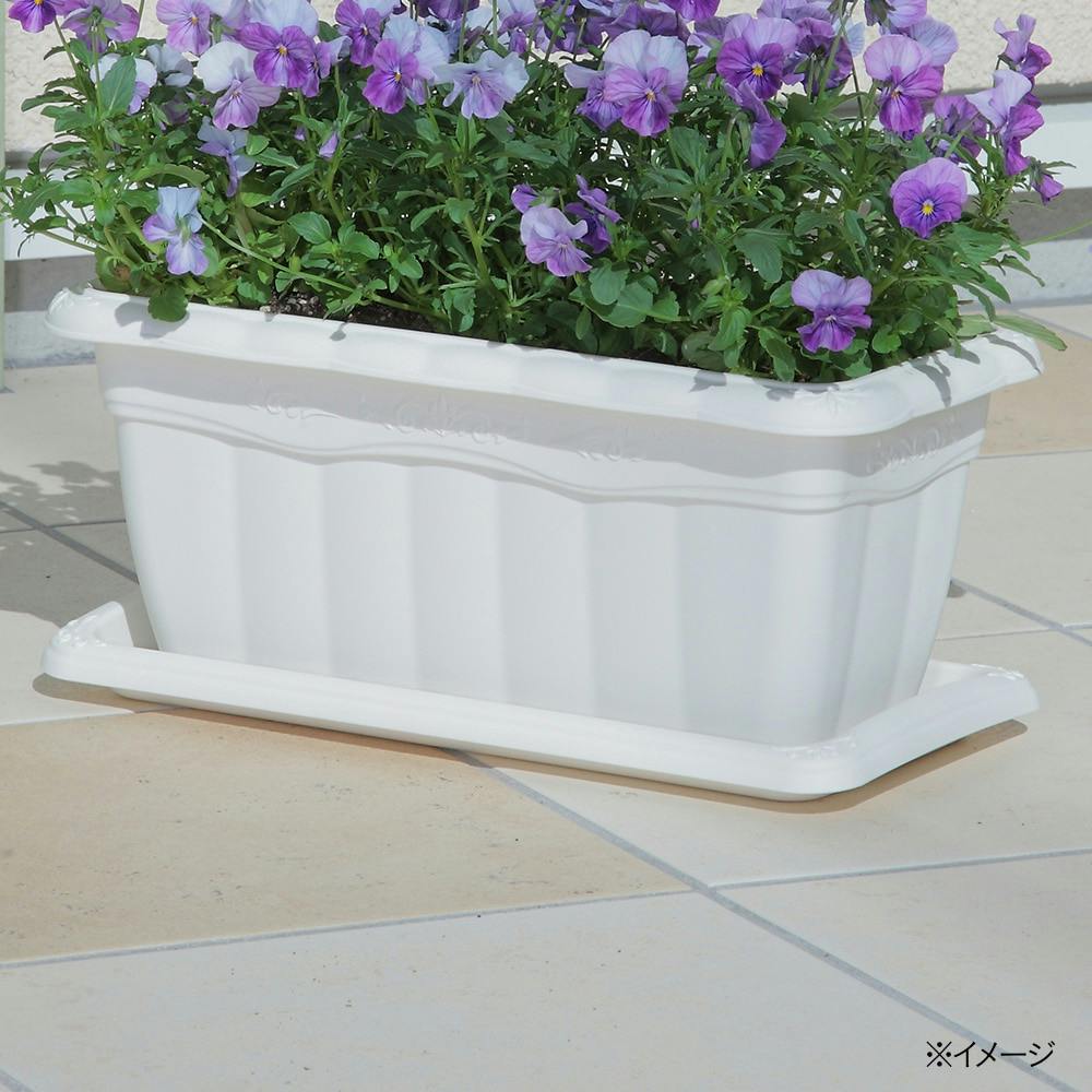 クイーンプレート 350型 ホワイト | 鉢・プランター・花台・温室 通販