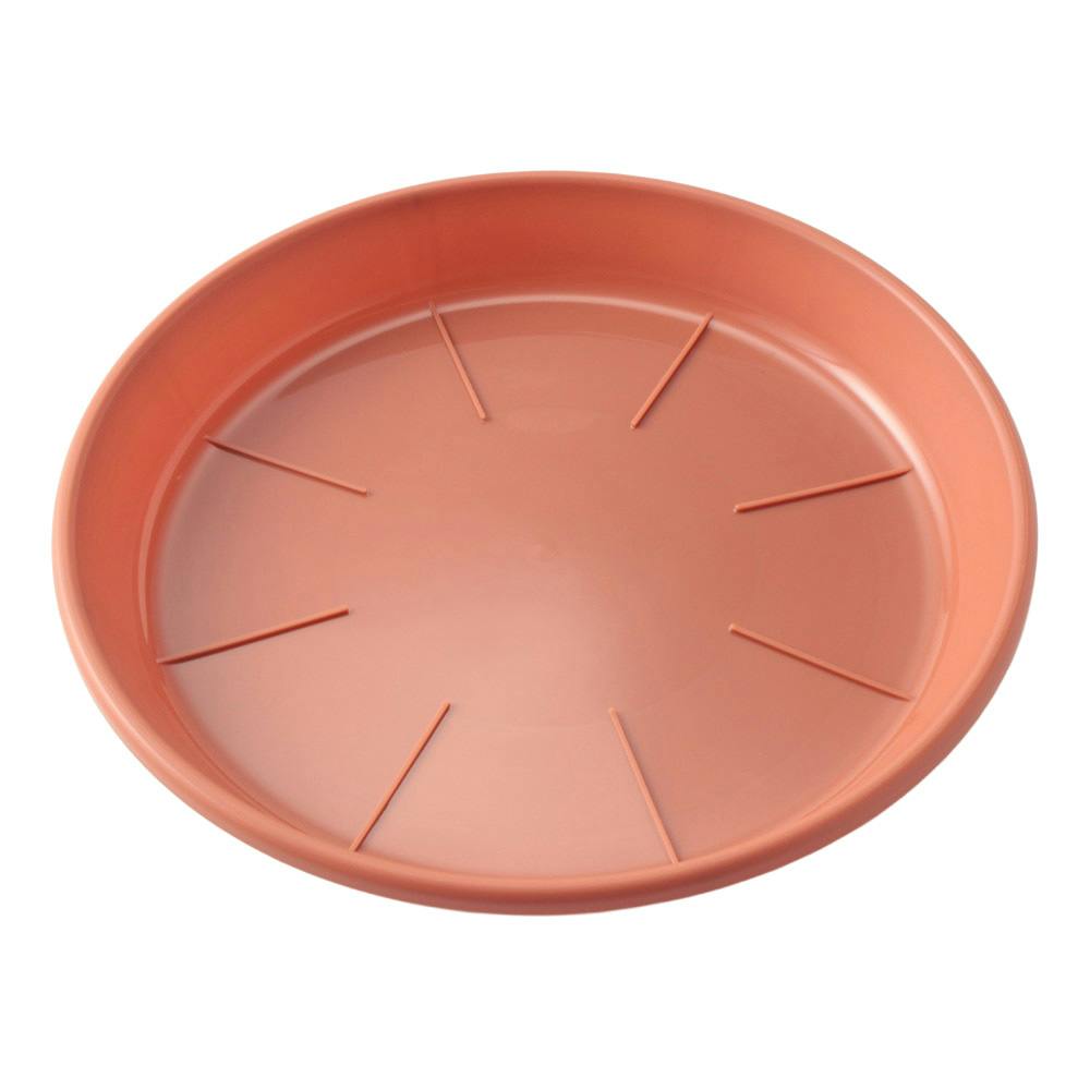 テラコッタ大皿　【未使用品】 浅皿AP 9号 テラコッタ | 鉢・プランター・花台・温室 通販