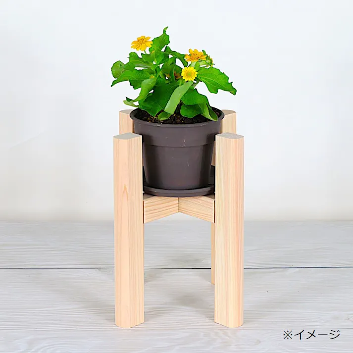 PG花台 HIGH(4号鉢用)