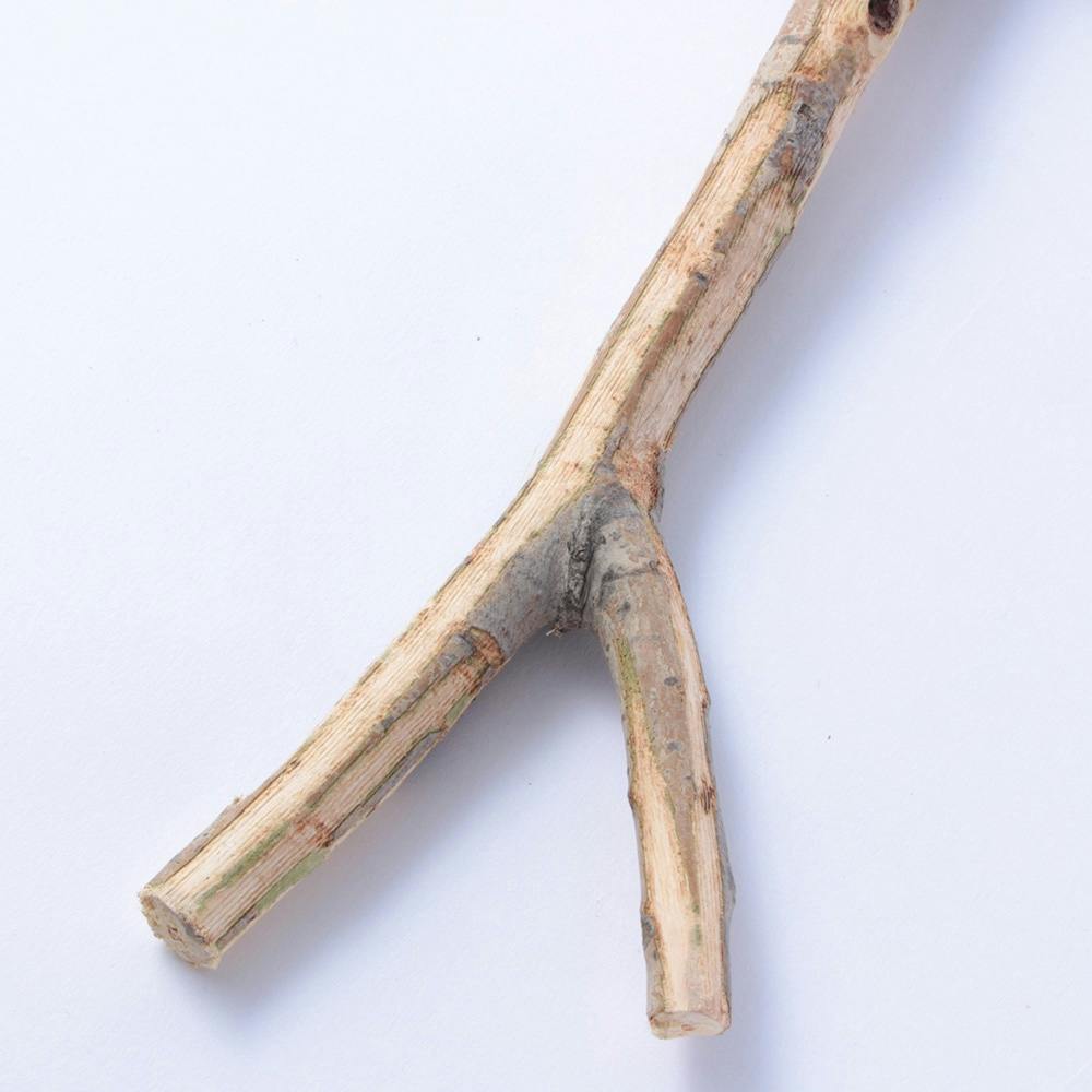 森の小枝 1個 | ペット用品（小動物・鳥・亀・爬虫類） 通販