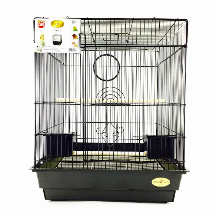 バードパレス キング