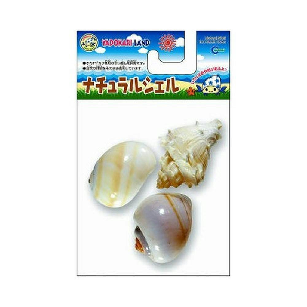 ナチュラルシェルM 3個り 水槽用インテリア・底砂 ナチュラルシェルM 3個り 水槽用インテリア・底砂