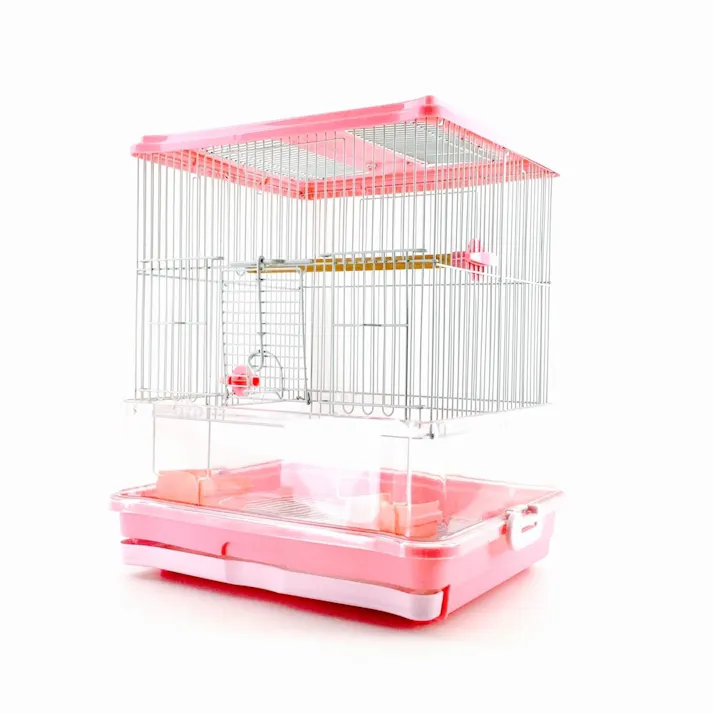 バードパレスクリーン ピンク