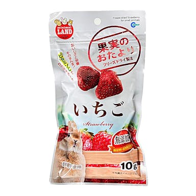 果物のおたより いちご 10g