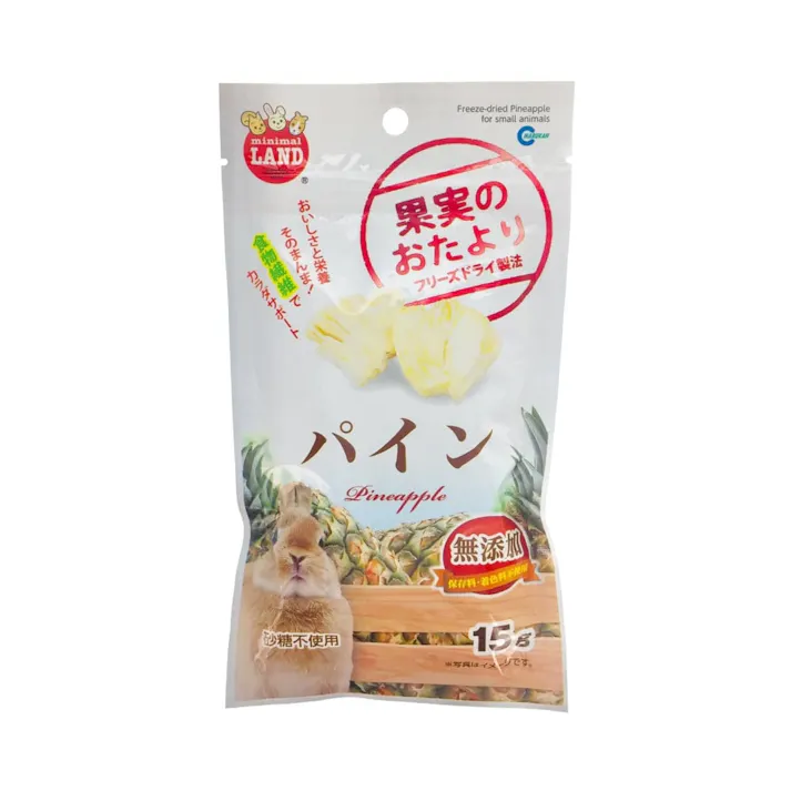 果物のおたより パイン