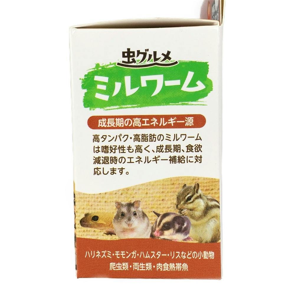 乾燥ミルワーム100g ハムスター フクロモモンガ ハリネズミ 小動物