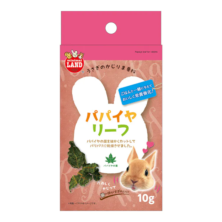 かじりま専科 パパイヤリーフ