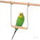バードパレス 小鳥のブランコ