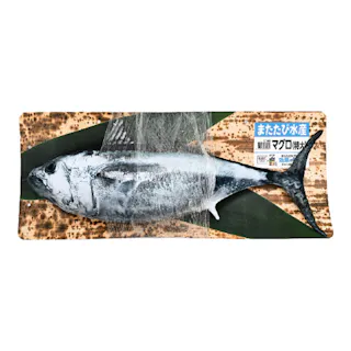 またたび水産マグロ(特大) 1個