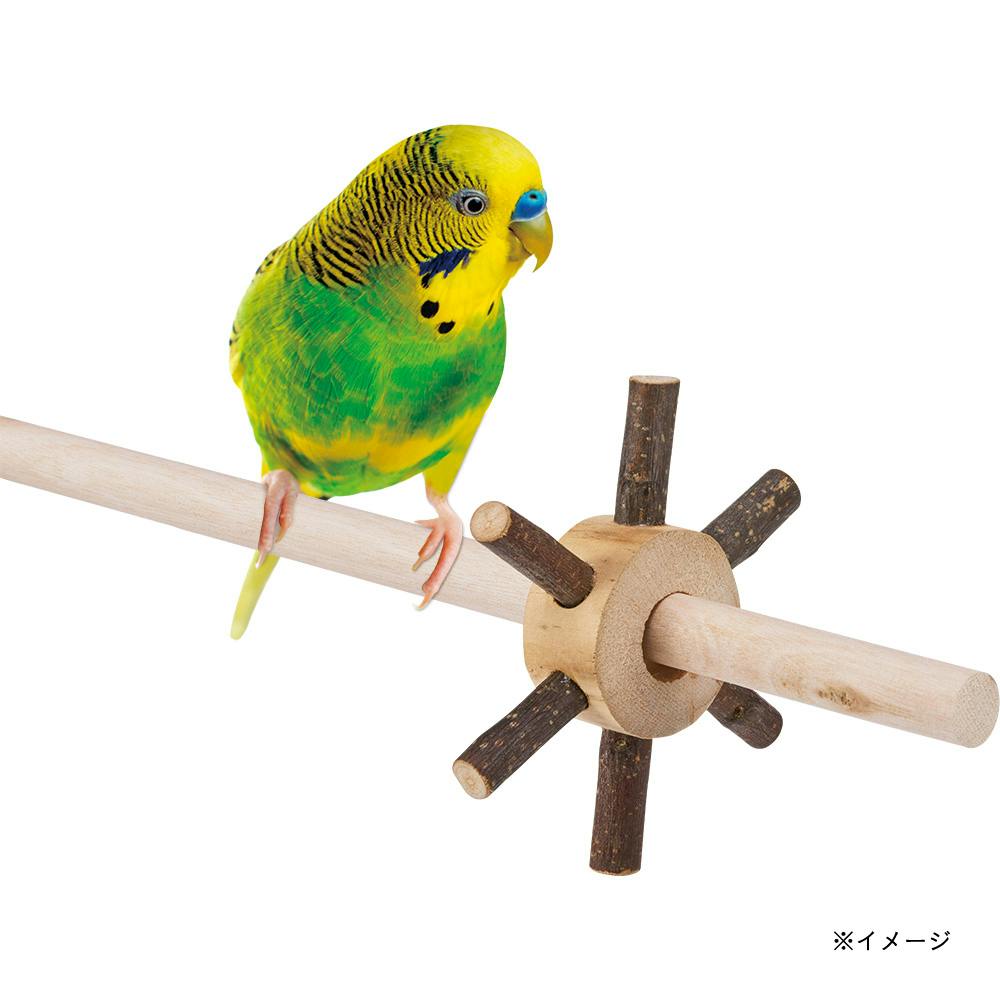 バードパレス りんご小枝リング | ペット用品（小動物・鳥・亀・爬虫類