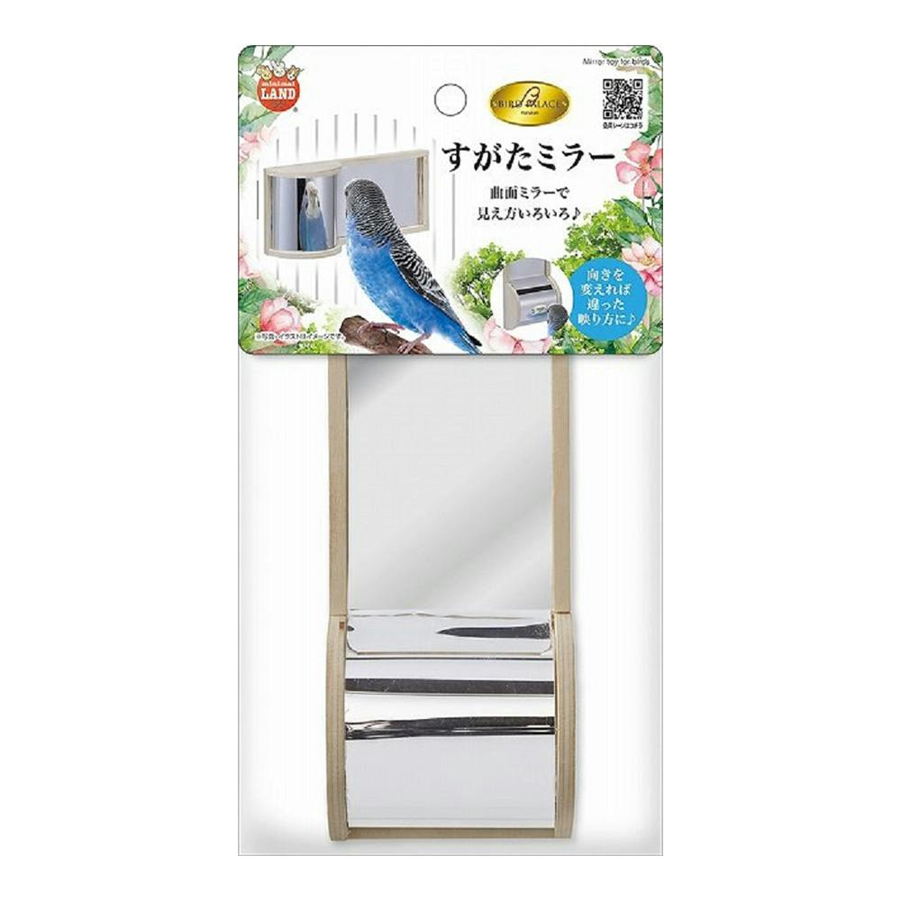 バードパレス クリアスクリーン40BK | ペット用品（小動物・鳥・亀