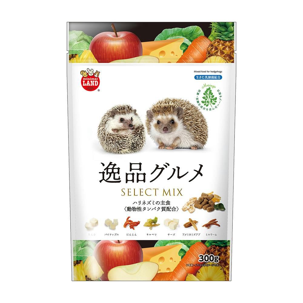 ハリネズミ NIKSN51700_00_L.jpg
