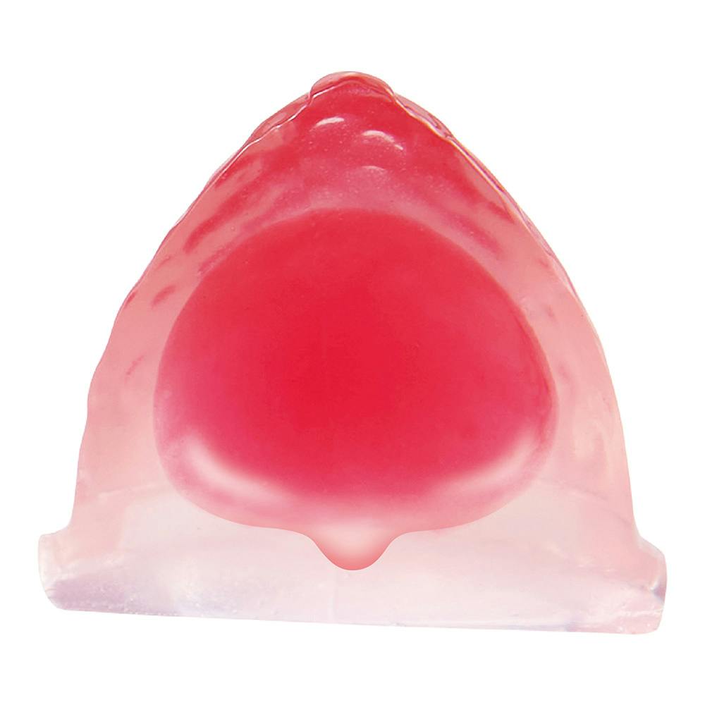 ミニマルゼリープレミアム いちご 8個入 | ペット用品（小動物・鳥・亀