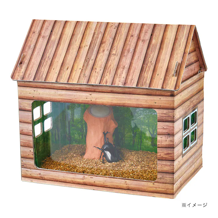 昆虫たちの丸太小屋 中