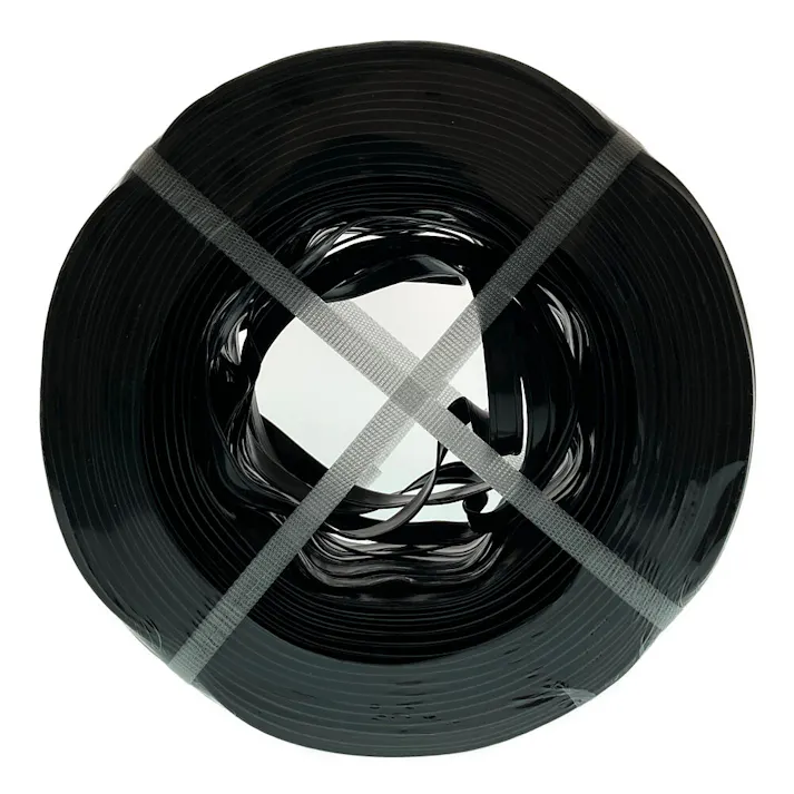 セキスイ コートバンド Mタイプ 10mm×200m 2芯 40本