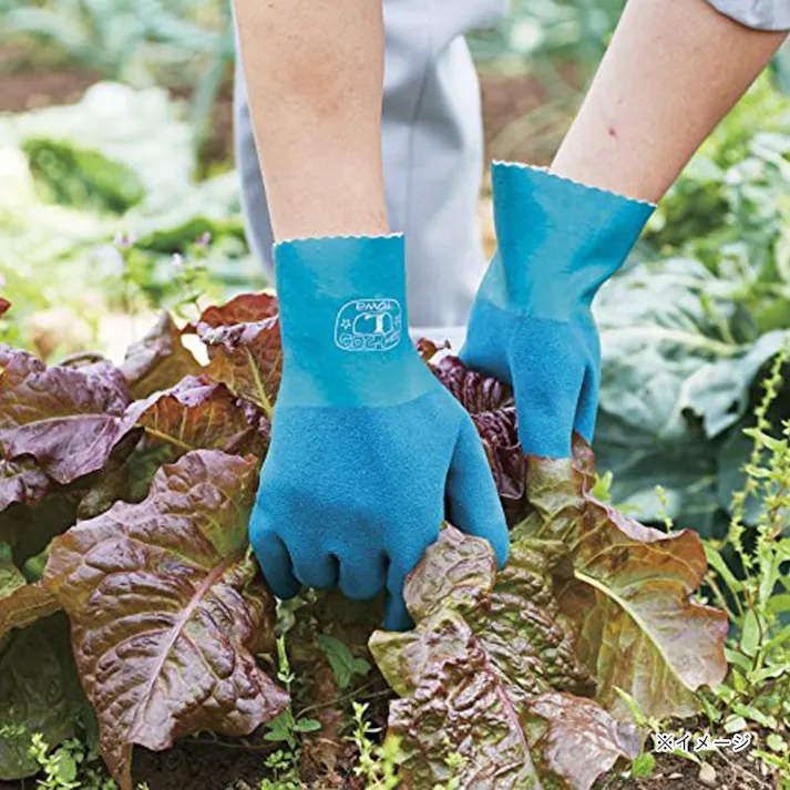 ニュートワロン LL