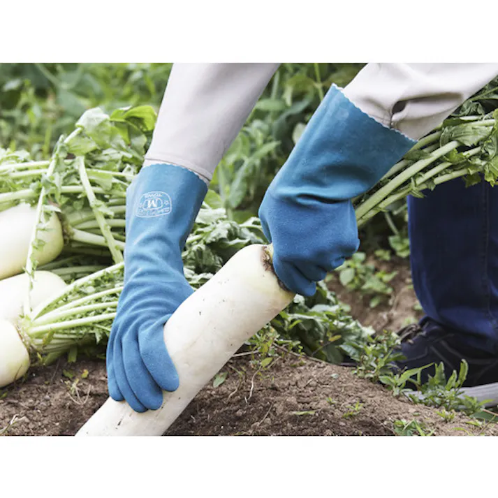 【CAINZ-DASH】東和コーポレーション 天然ゴム手袋 ニュートワロンロング M 156-M【別送品】