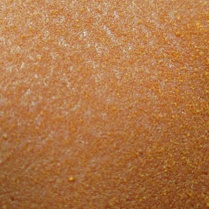 【CAINZ-DASH】東和コーポレーション 腕カバー付手袋 ビニスター腕カバー付ソフト L 652-L【別送品】