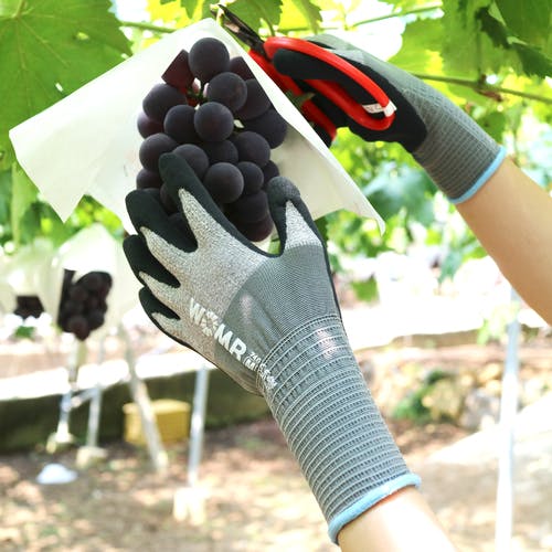 ホロカ 引退品 固定式ワカサギ用針外し - 釣り用品のメーカー｜タカ産業株式