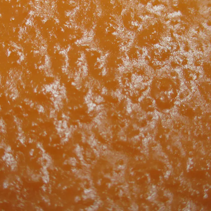 【CAINZ-DASH】東和コーポレーション 塩化ビニール背抜き手袋 ビニスターエース L 681-L【別送品】