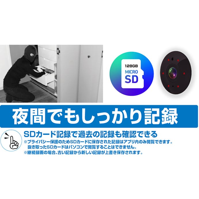 【指定住所配送P10倍】カシムラ スマートカメラ(首振) KJ-182