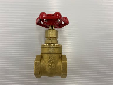 ゲートバルブ 125型 FH1【別送品】