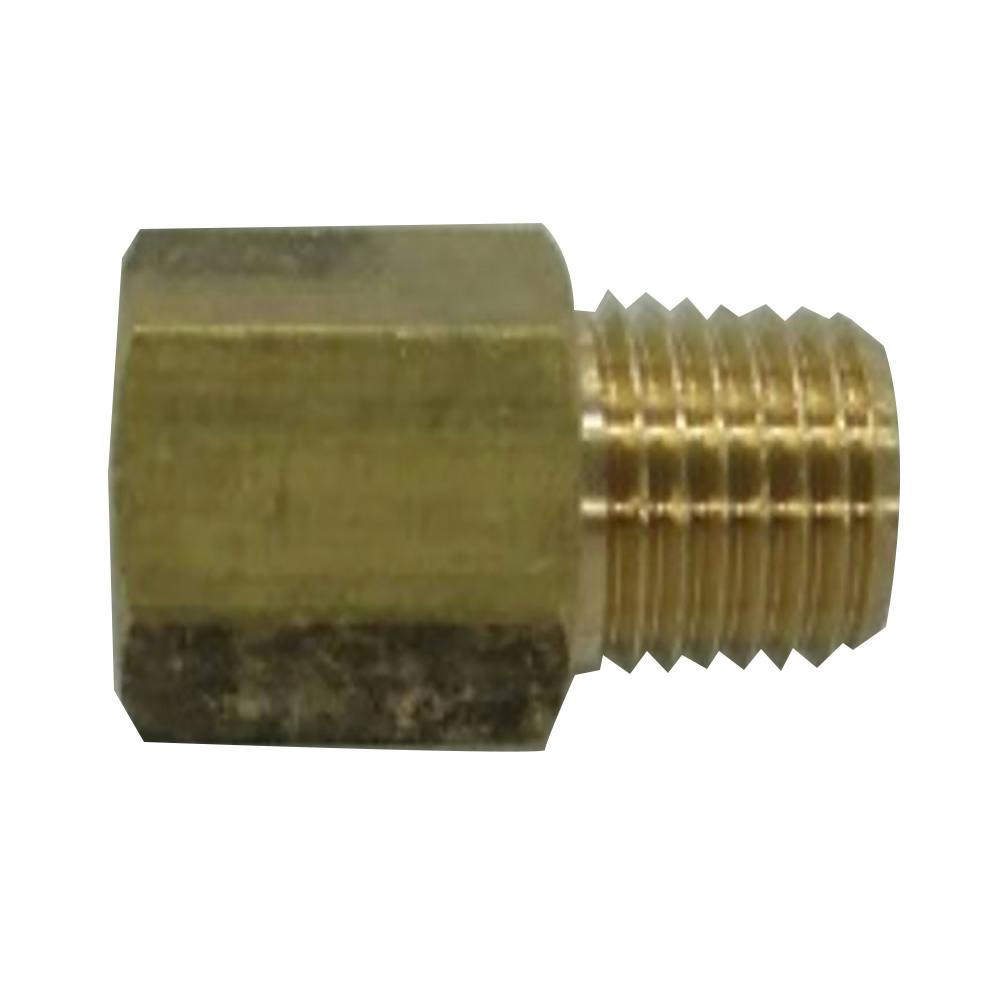 ゲストロテナガコガネ メス　オス　2匹セット ゲストロテナガコガネ メス オス 2匹セット ゲストロ