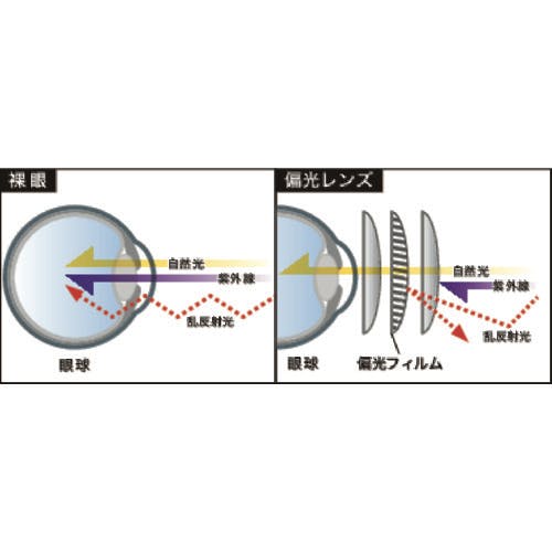 オクリス CAINZ-DASH】アックス サングラス 偏光クリップオングラス AS