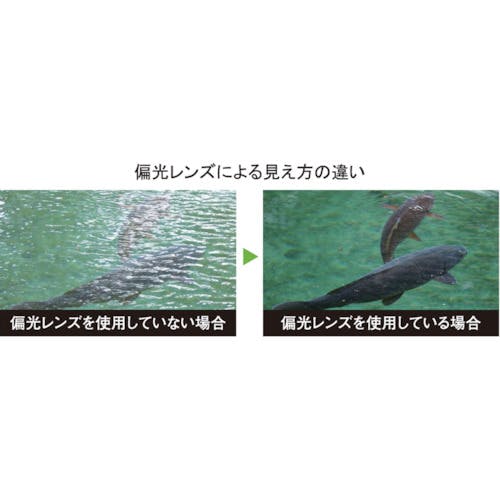 オクリス 4930097506719_01.jpg