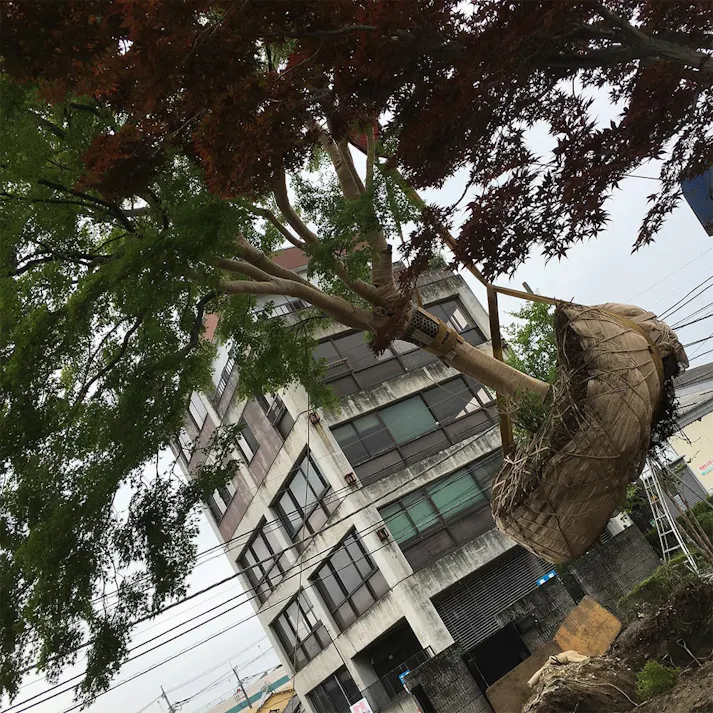 ジュートロープ 72×4