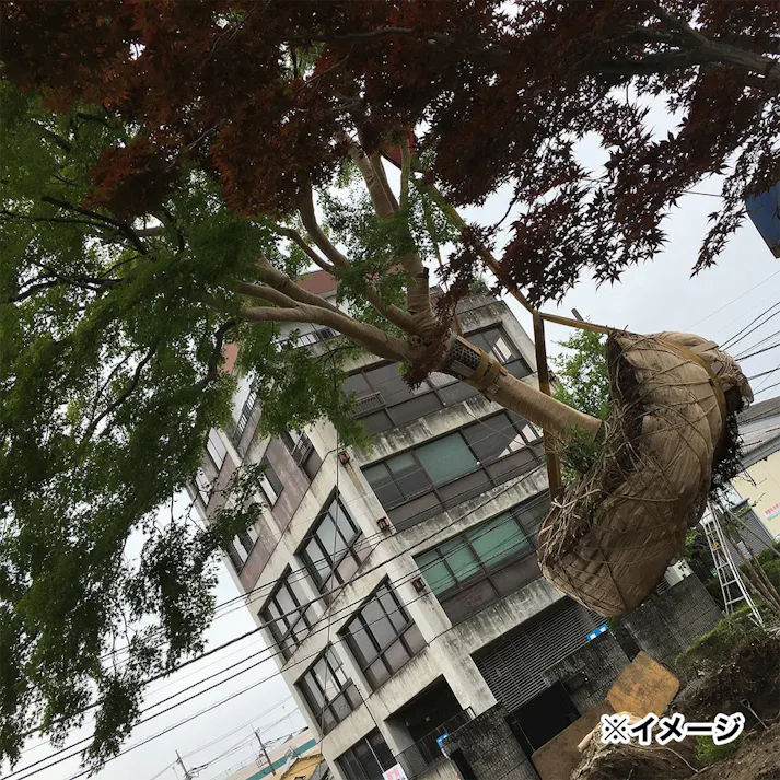 ジュートロープ 72×6