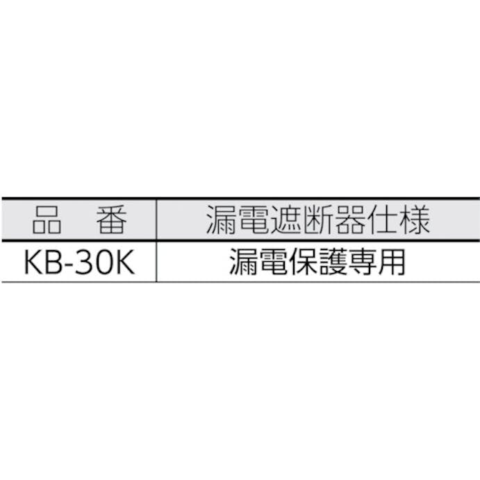 【CAINZ-DASH】ハタヤリミテッド コンセント盤固定型コードリール　コンセットリール　単相１００Ｖ　３０ｍ KS-30【別送品】