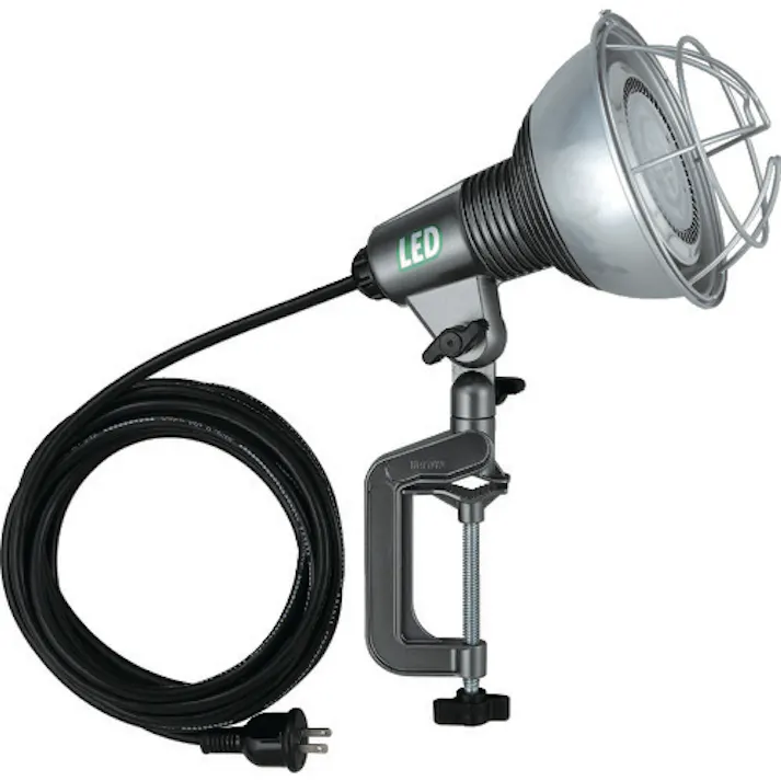 【CAINZ-DASH】ハタヤリミテッド LED作業灯 20WLEDランプ付 RGL-5【別送品】