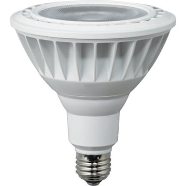 【CAINZ-DASH】ハタヤリミテッド ＬＥＤ作業灯　２０Ｗ交換球電球色ビームタイプ LDR20L-W60【別送品】