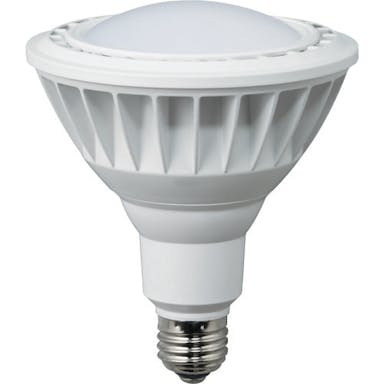 【CAINZ-DASH】ハタヤリミテッド ＬＥＤ作業灯　２０Ｗ交換球電球色広角タイプ LDR20L-H110【別送品】