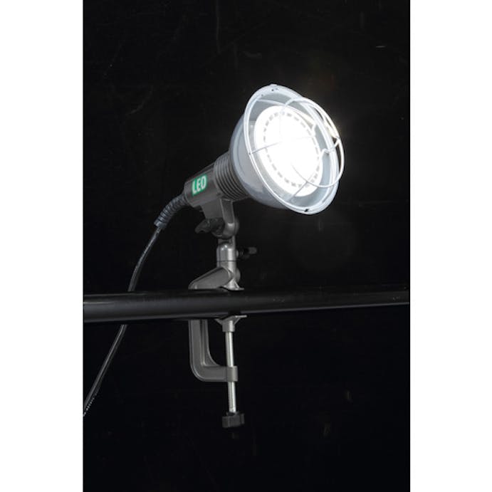 【CAINZ-DASH】ハタヤリミテッド ＬＥＤ作業灯　２０Ｗ電球色広角タイプ　電線５ｍ RGL-5WL【別送品】