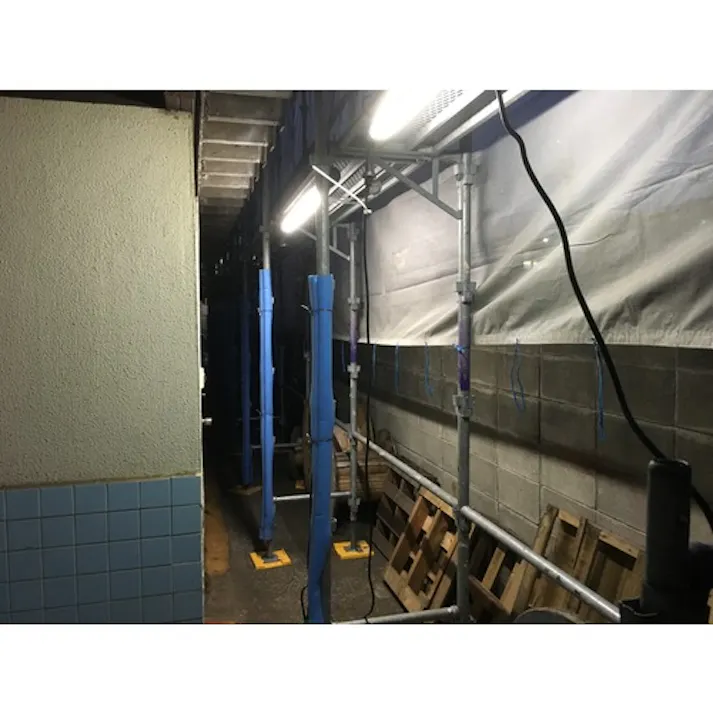 【CAINZ-DASH】ハタヤリミテッド LEDレンカライトS LSS-5N【別送品】