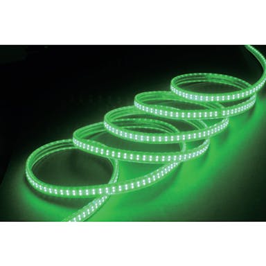 【CAINZ-DASH】ハタヤリミテッド ＬＥＤテープライト片面発光タイプ（１０ｍ緑セット） LTP-10S(G)【別送品】