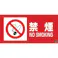 【CAINZ-DASH】日本緑十字社 消防・危険物標識 禁煙・NOSMOKING 消防-1A 250×500mm エンビ 059101【別送品】