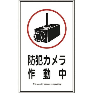 【CAINZ-DASH】日本緑十字社 イラストステッカー標識　防犯カメラ作動中　貼１２３　２００×１２０ｍｍ　１０枚組 047123【別送品】