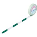 【CAINZ-DASH】日本緑十字社 ガードテープ（ラインテープ）　白／緑（トラ柄）　ＧＴ－２５２ＷＧ　２５ｍｍ幅×２０ｍ 148044【別送品】