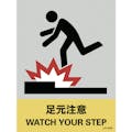 【CAINZ-DASH】日本緑十字社 ステッカー標識　足元注意　ＪＨ－２３Ｓ　１６０×１２０ｍｍ　５枚組　ＰＥＴ 029123【別送品】